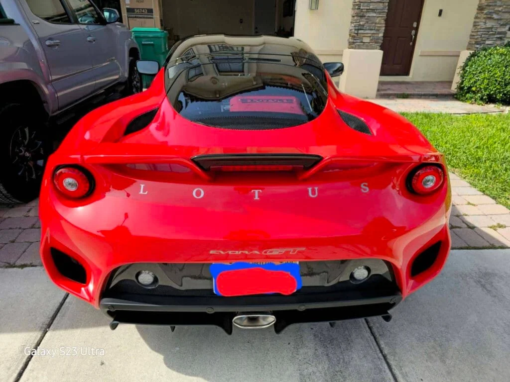 Lotus de la galería de trabajos de Robert